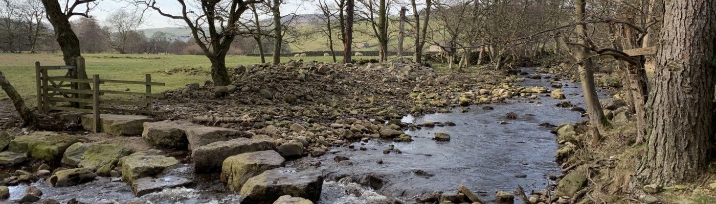 Stepping Stones